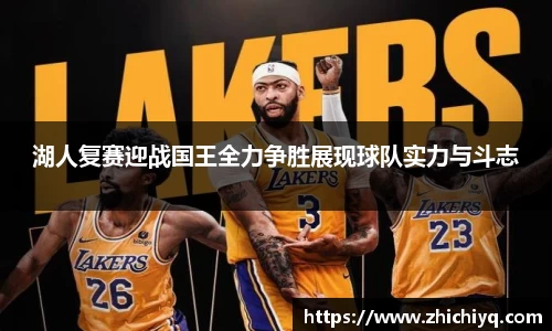 77体育电脑版