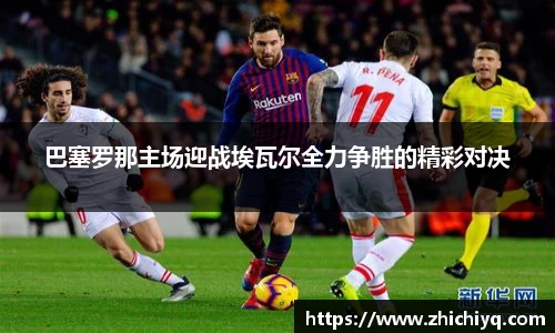 77体育电脑版