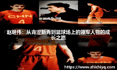 77体育app下载官网
