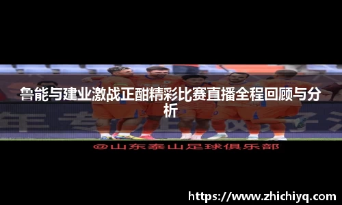 77体育app下载官网