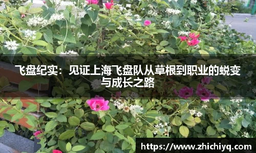 飞盘纪实：见证上海飞盘队从草根到职业的蜕变与成长之路