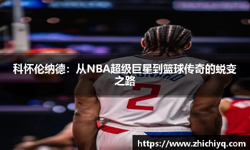 77体育app下载官网