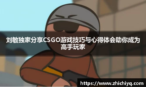 77体育电脑版